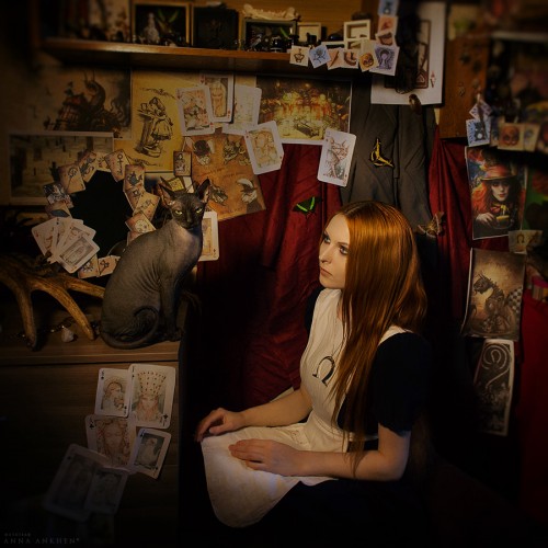 Проект: Alice: In Her Room